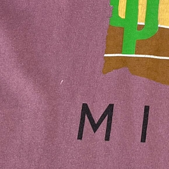 Disney Mickey Mouse Boxlunch Exclusive Desert Cactus Dusty Rose T-Shirt Unisex L - Picture 10 of 13